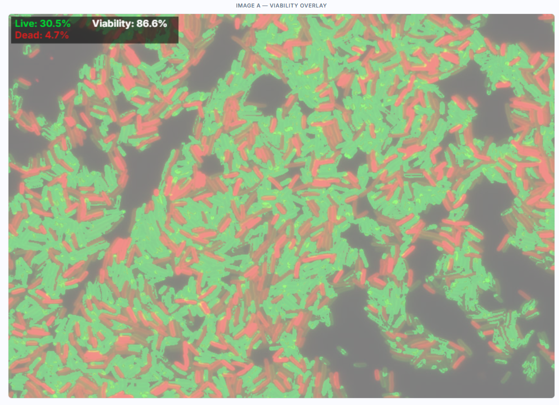 Bio-imaging — Organism counting from microscopy photographs.