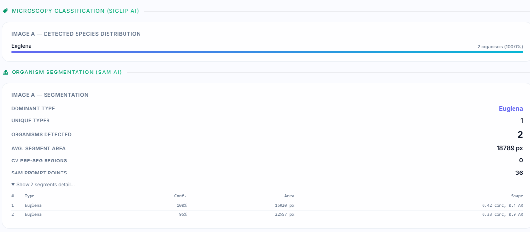 Bio identification results — Summary table of all detected species.