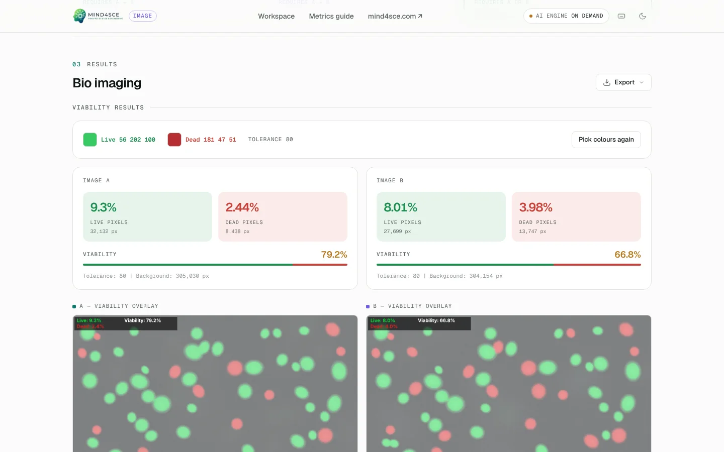 Bio imaging — Live/dead viability count with per-image percentages and overlays.