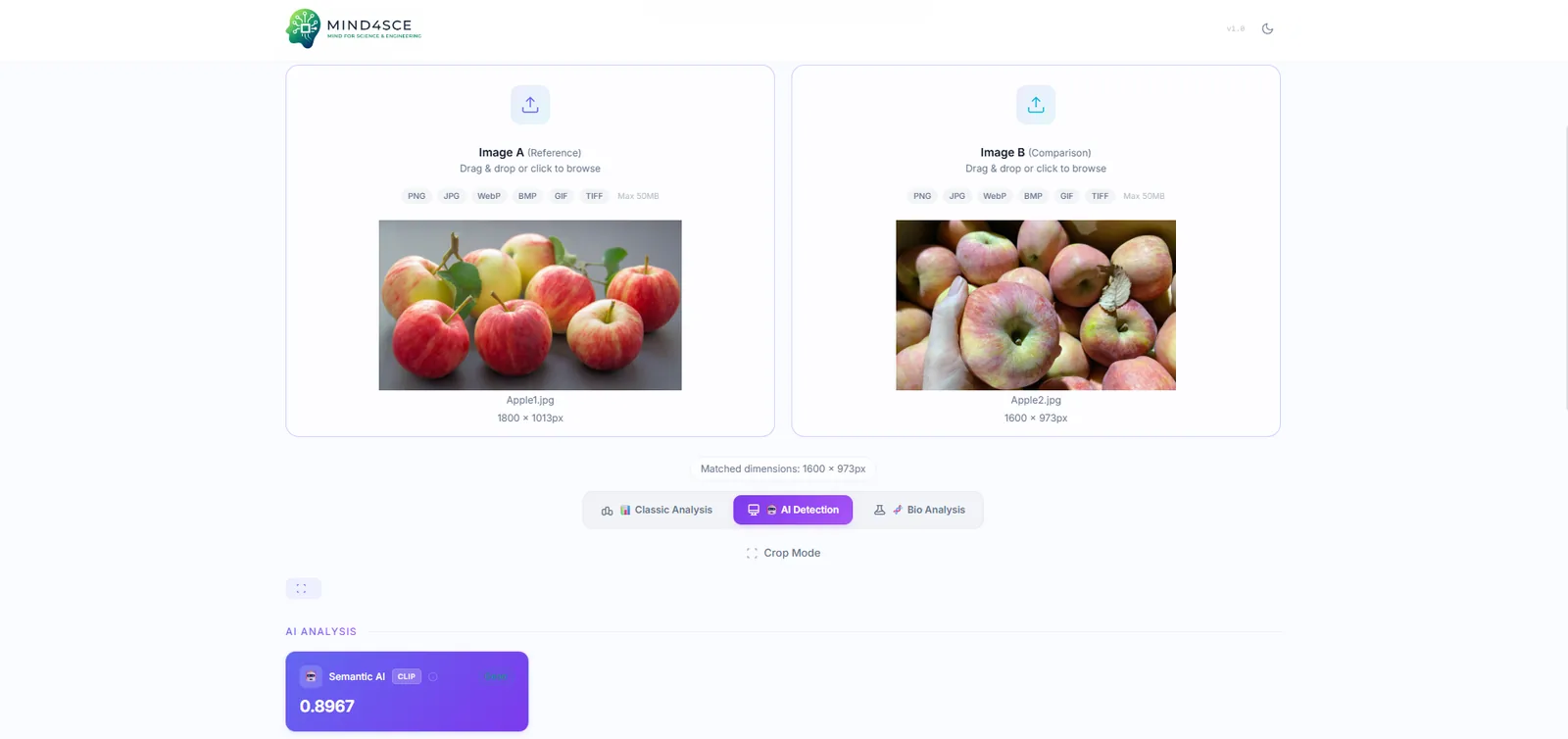 MIND4SCE-Image — Advanced image analysis & comparison
